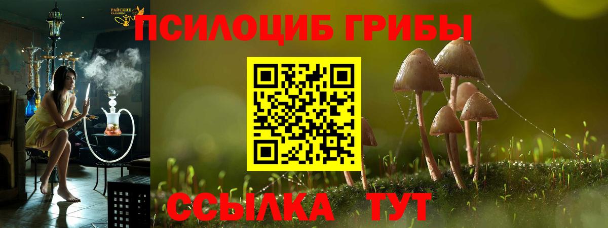 Галлюциногенные грибы мухоморы Ханты-Мансийск